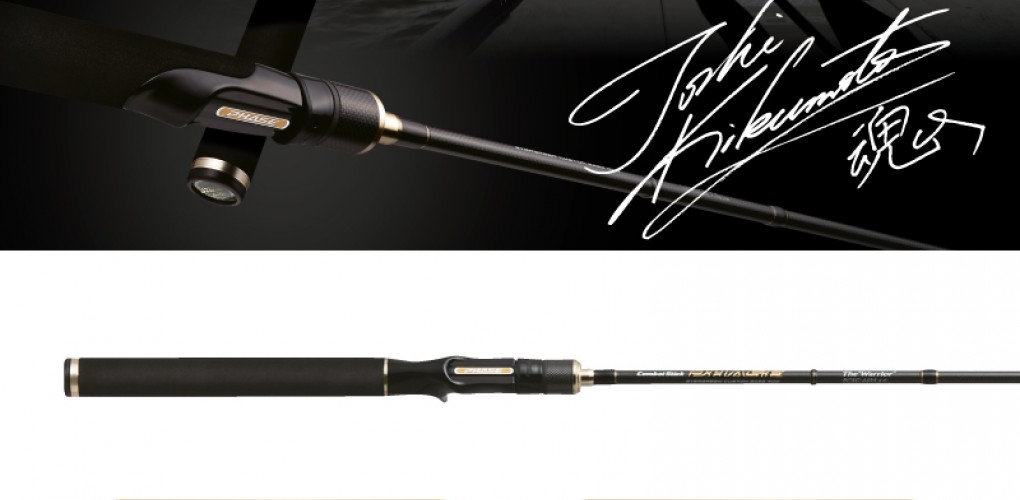 phase_eg_new_rods